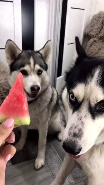 哈吃瓜网,哈吃瓜网带你领略明星幕后故事